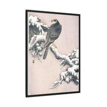 Goshawk on Snow-covered Pine Bough by Ohara Koson (1877–1945)