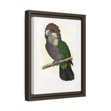 Hawk-Headed Parrot (Deroptyus accipitrinus) colored wood-engraved plate by Alexander Francis Lydon.