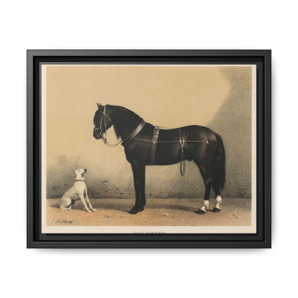 Orloffer (Orloff Horse) by Emil Volkers (1880) - An illustration of a black horse and a white dog - NOMADEN ART GALLERY