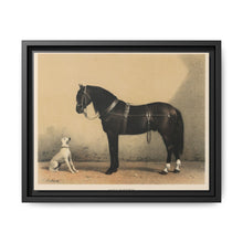 Orloffer (Orloff Horse) by Emil Volkers (1880) - An illustration of a black horse and a white dog - NOMADEN ART GALLERY