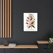 Pink flowers, Weigela lithograph (1900)