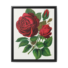 Red Rose, Prince Camille De Rohan Lithograph - NOMADEN ART GALLERY