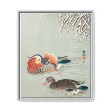 Mandarin ducks (1925 - 1936) by Ohara Koson