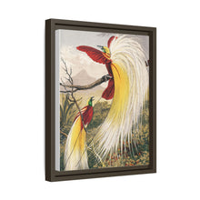 Birds of Paradise: Vintage Natural History Art by Benjamin Fawcett (1808 - 1893)