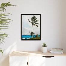 Palm Tree, Nassau (1898) by Winslow Homer