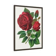Red Rose, Prince Camille De Rohan Lithograph
