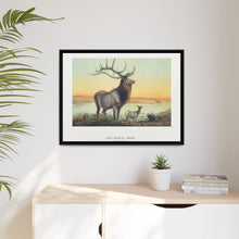 The Wapiti from Zoological sketches (1861-1867) by Joseph Wolf and Philip Lutley Sclater