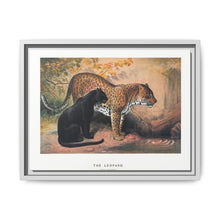 The Leopard from Zoological sketches (1861-1867) by Joseph Wolf and Philip Lutley Sclater - NOMADEN ART GALLERY