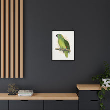 Lydon's Yellow-Naped Amazon | Vintage Parrot Wall Art Print