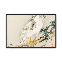 Northern mockingbird by Kōno Bairei (1844-1895) - NOMADEN ART GALLERY