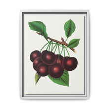 Black Tartarian cherry lithograph. Digitally enhanced from our own original 1900 edition plates of Botanical Specimen published by Rochester Lithographing - NOMADEN ART GALLERY