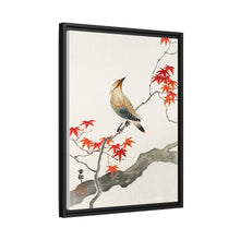 Japanese plague bird on maple (1900 - 1936) by Ohara Koson