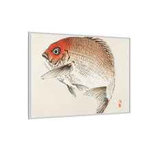 Tai (Red Seabream) fish by Kōno Bairei