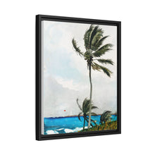 Palm Tree, Nassau (1898) by Winslow Homer