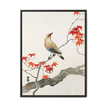 Japanese plague bird on maple (1900 - 1936) by Ohara Koson