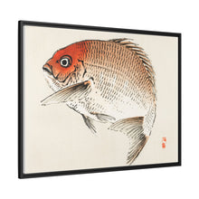 Tai (Red Seabream) fish by Kōno Bairei