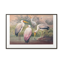 The African Wood Ibis from Zoological sketches (1861-1867) by Joseph Wolf and Philip Lutley Sclater - NOMADEN ART GALLERY