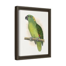 Lydon's Yellow-Naped Amazon | Vintage Parrot Wall Art Print