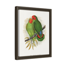 Lydon's West African Love-Bird | Vintage Avian Wall Art Print