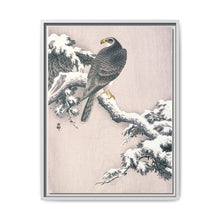 Goshawk on Snow-covered Pine Bough by Ohara Koson (1877–1945) - NOMADEN ART GALLERY