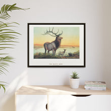 The Wapiti from Zoological sketches (1861-1867) by Joseph Wolf and Philip Lutley Sclater