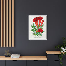 Trumpet flower lithograph. Digitally enhanced from our own original 1900 edition plates of Botanical Specimen published by Rochester Lithographing