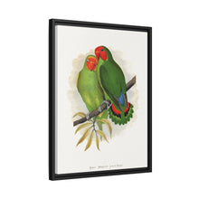 Lydon's West African Love-Bird | Vintage Avian Wall Art Print