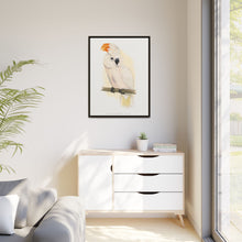 Great Salmon-Crested Cockatoo (CACATUA MOLUCCENSIS) colored wood-engraved plate by Alexander Francis Lydon.