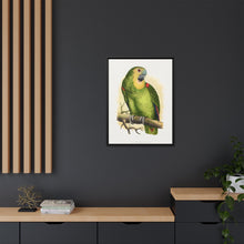 Blue-Fronted Amazon (Amazona aestiva) colored wood-engraved plate by Alexander Francis Lydon