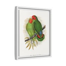 Lydon's West African Love-Bird | Vintage Avian Wall Art Print