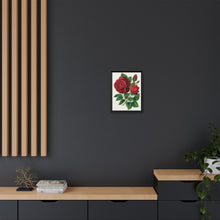 Red Rose, Prince Camille De Rohan Lithograph