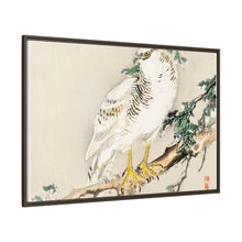 Northern mockingbird by Kōno Bairei (1844-1895)