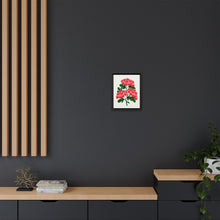 Paul's New Double Flowering Thorn lithograph. Digitally enhanced from our own original 1900 edition plates of Botanical Specimen published by Rochester Lithographing - NOMADEN ART GALLERY
