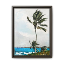 Palm Tree, Nassau (1898) by Winslow Homer - NOMADEN ART GALLERY