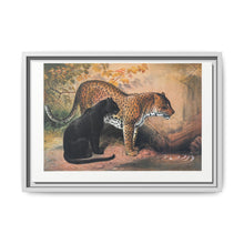 The Leopard from Zoological sketches (1861-1867) by Joseph Wolf and Philip Lutley Sclater - NOMADEN ART GALLERY