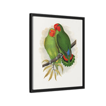 Lydon's West African Love-Bird | Vintage Avian Wall Art Print