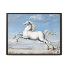 White horse (1552–1601) by Joris Hoefnagel - NOMADEN ART GALLERY