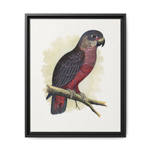 Dusky or Violet Parrot (Pionus fuscus) colored wood-engraved plate by Alexander Francis Lydon. - NOMADEN ART GALLERY