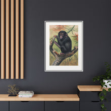 The Chimpanzee from Zoological sketches (1861-1867) by Joseph Wolf and Philip Lutley Sclater.