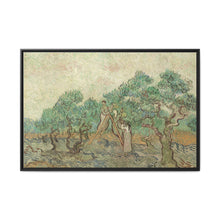 Vincent van Gogh's The Olive Orchard (1889) - Historical Art Canvas Print - NOMADEN ART GALLERY