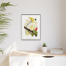 Kleiner Zitronenhaubenkakadu (Cacatua sulphurea) farbige Holzstichplatte von Alexander Francis Lydon
