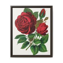 Red Rose, Prince Camille De Rohan Lithograph - NOMADEN ART GALLERY