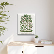 Hardy Magnolia tree lithograph. Digitally enhanced from our own original 1900 edition plates of Botanical Specimen published by Rochester Lithographing