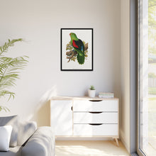 Red-winged parakeet (Aprosmictus erythropterus) colored wood-engraved plate by Alexander Francis Lydon