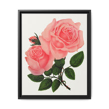 Pink Rose, La France Lithograph (1900) - NOMADEN ART GALLERY