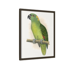 Lydon's Yellow-Naped Amazon | Vintage Parrot Wall Art Print