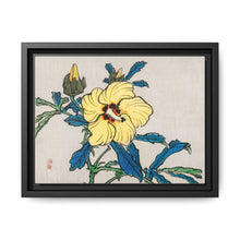 Hibiscus by Kōno Bairei (1844-1895) - NOMADEN ART GALLERY