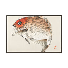Tai (Red Seabream) fish by Kōno Bairei - NOMADEN ART GALLERY