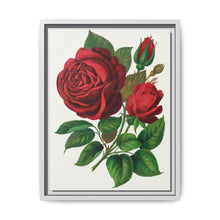 Red Rose, Prince Camille De Rohan Lithograph - NOMADEN ART GALLERY