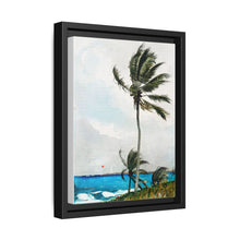 Palm Tree, Nassau (1898) by Winslow Homer - NOMADEN ART GALLERY